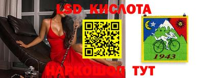 прущие грибы Владимир