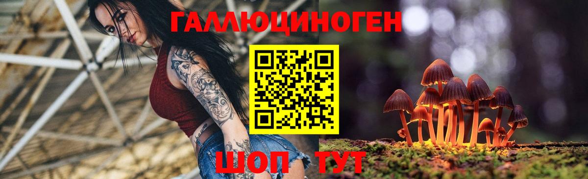 Галлюциногенные грибы Psilocybine cubensis  Вход с VPN  Губаха 